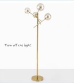 Columnaris - Image 6