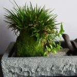 Flowerpot Natural Stone Plate - Image 8