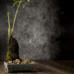 Flowerpot Natural Stone Plate - Image 10