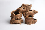 Root Wood Succulent Flower Pot - Image 6