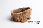 Root Wood Succulent Flower Pot - Image 14