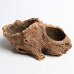 Root Wood Succulent Flower Pot - Image 3