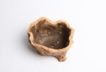 Root Wood Succulent Flower Pot - Image 16