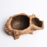Root Wood Succulent Flower Pot - Image 11