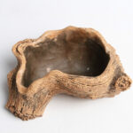 Root Wood Succulent Flower Pot - Image 4