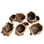 Root Wood Succulent Flower Pot