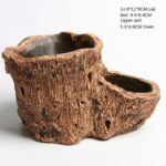 Root Wood Succulent Flower Pot - Image 5