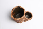 Root Wood Succulent Flower Pot - Image 8