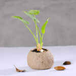 Wabi Sabi Potted Flower Pot - Image 6