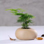 Wabi Sabi Potted Flower Pot - Image 2