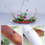 Kanaloa Ceramic Flower Vase - Image 5