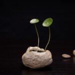 Creative Hand-painted Stoneware Vase - Image 3