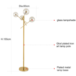 Brevifolia - Image 12