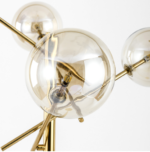 Brevifolia - Image 4