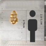 Coquina Shell Wall Lamp - Image 11