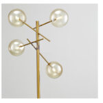 Brevifolia - Image 9