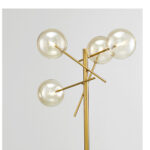 Brevifolia - Image 6