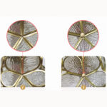 Petals Wall Lamp - Image 17